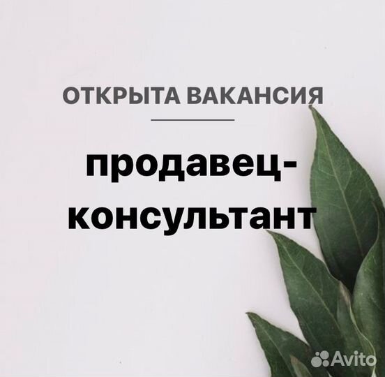 Продавец в магазин одежды (ТЦ На Свободном)