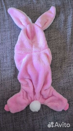 Костюм для собаки