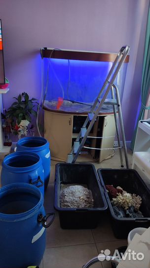 Обслуживание аквариумов. Срочный выезд