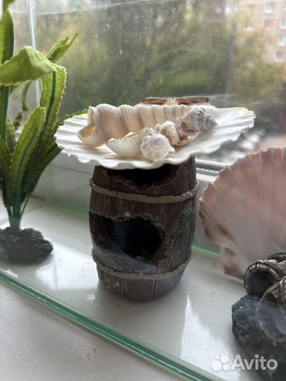 Аквариум 5 литров