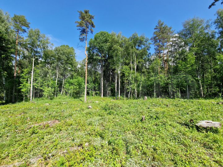 Участок 10 сот. (СНТ, ДНП)