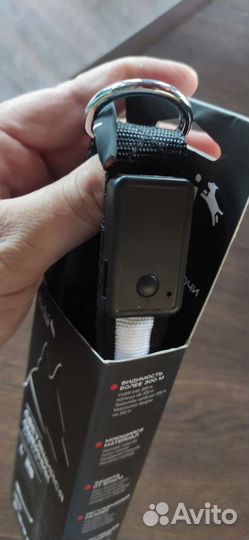 Ошейник для собак светящийся