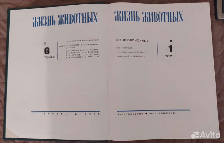 Энциклопедия 