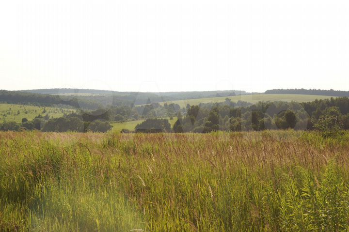 Участок 15 сот. (ИЖС)