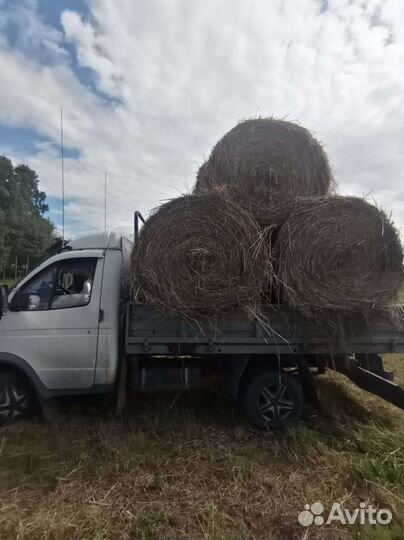 Сено в рулонах