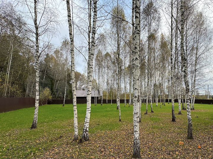 Участок 12 сот. (ИЖС)