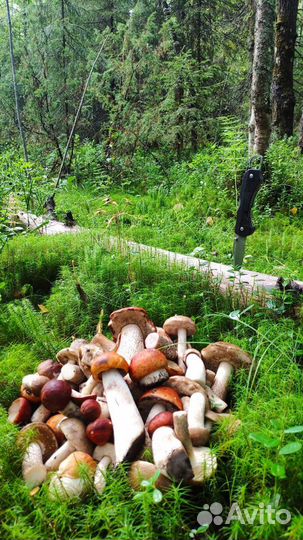 Рыбалка и отдых