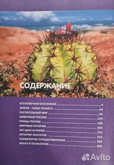 Большая энциклопедия школьника