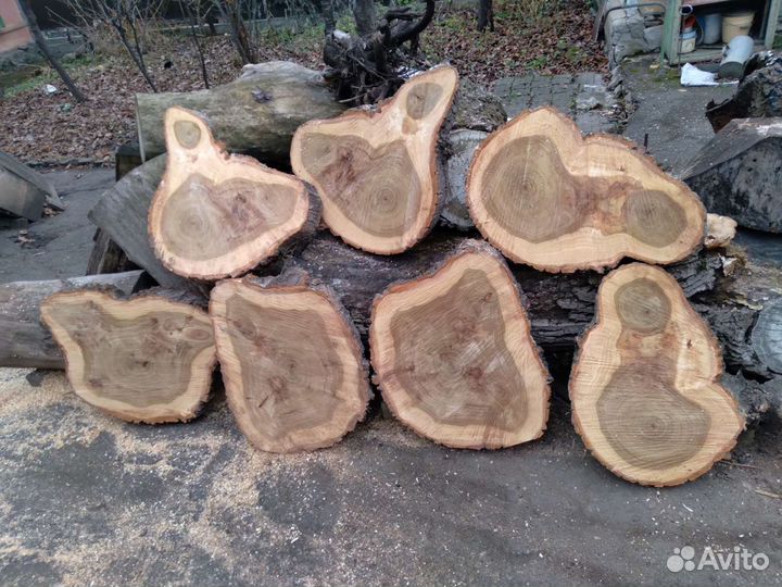 Торцевые спилы деревьев