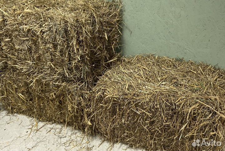 Солома овсяная опт и розница