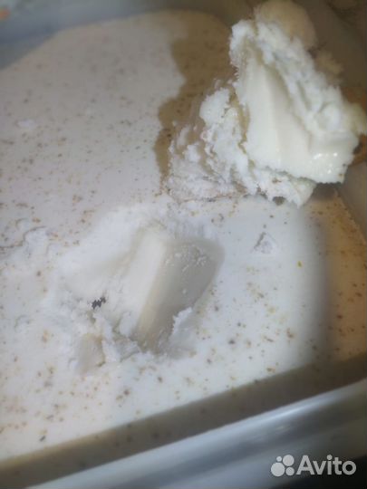 Мед Оптом рапс подсолнечник