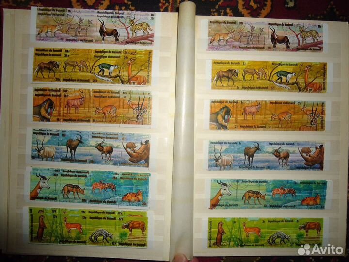 Марки фауна альбом марки Бурундии и Гвинеи