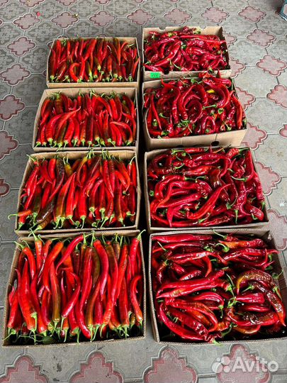 Горький перец