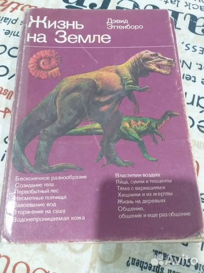 Жизнь на земле 1984г