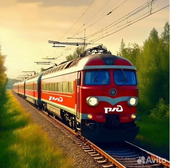 Путеец в крупную компанию (без опыта)