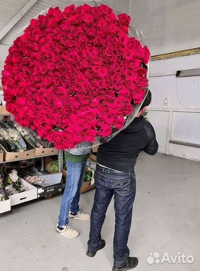 Розы высокие Доставка цветов