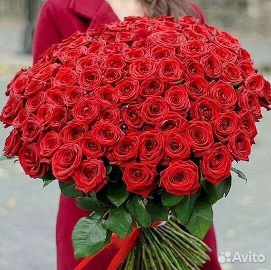 Высокие розы Гигантские розы с доставкой