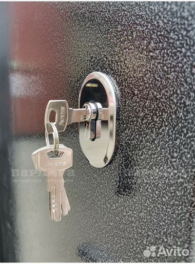 Сейф-дверь Тринити Хьюстон Силк маус Лофт