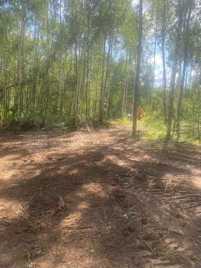 Участок 17 сот. (СНТ, ДНП)