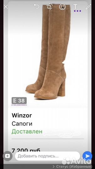 Сапоги замша