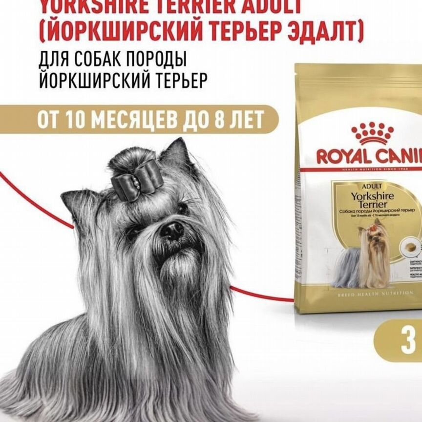 Корм для собак royal canin adult