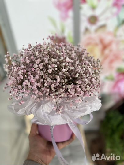 Букет из гипсофилы в коробке доставка Сочи Адлер