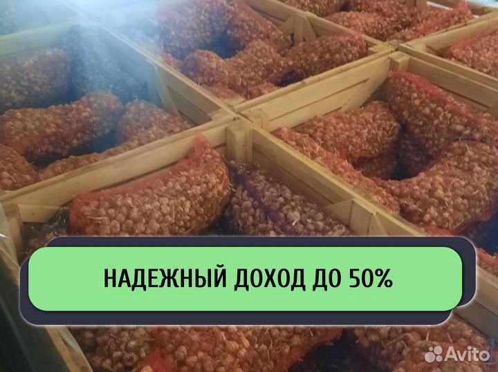 Инвестиции в готовый бизнес / Доход до 50% годовых