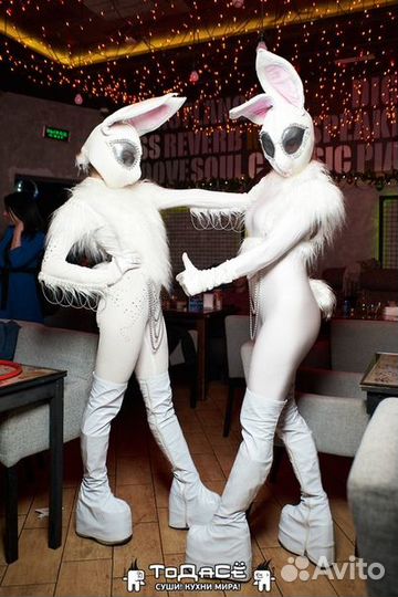 Световое шоу, ростовые куклы