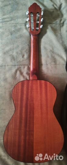 Гитара Cort AC50