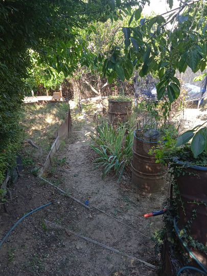 Участок 4 сот. (СНТ, ДНП)