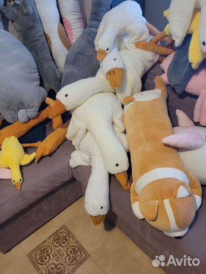 Кот Батон, кот с пледом, гуси, акула, Корги