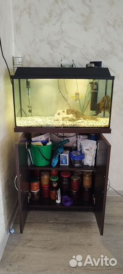 Аквариум с тумбой