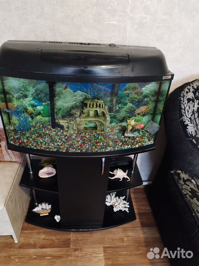 Аквариум с тумбой