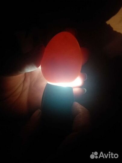 Цесарята,цесарки