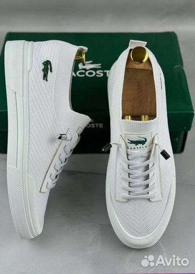 Мужские кеды Lacoste