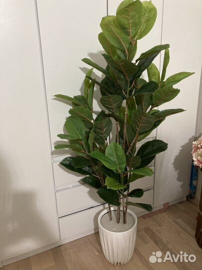 Фикус лировидный искусственный
