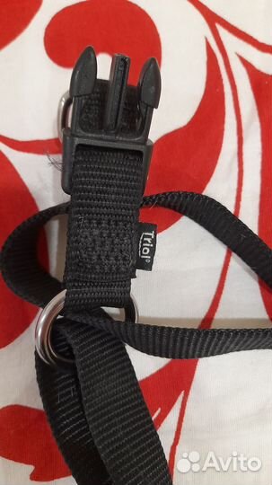 Шлейка для собаки