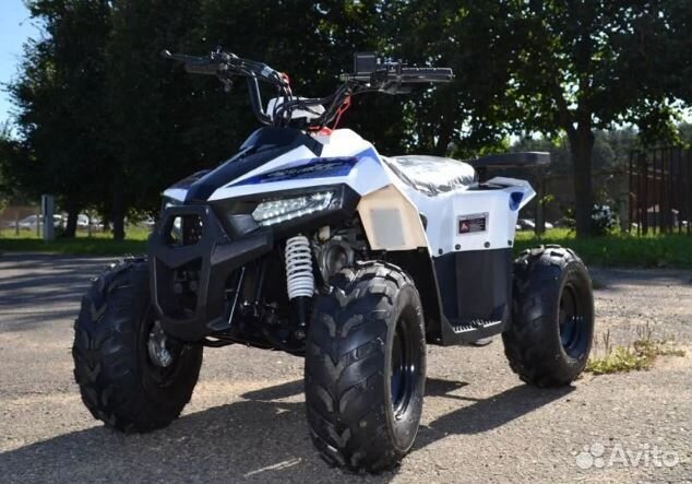 Квадроцикл TAO Motor Mudhawk 110