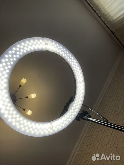 Кольцевая лампа 50 см со штативом