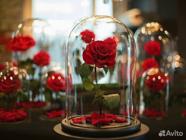 Роза в колбе Deluxe Красная