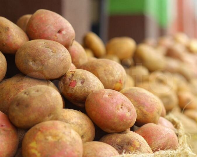 Машиноместо