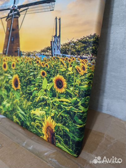 Интерьерная картина