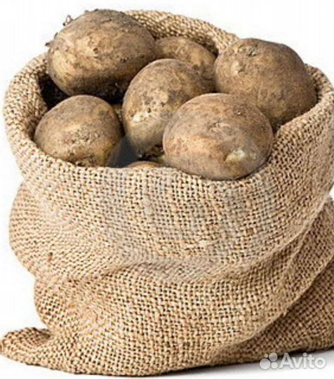 Продам картофель, урожай 2023г