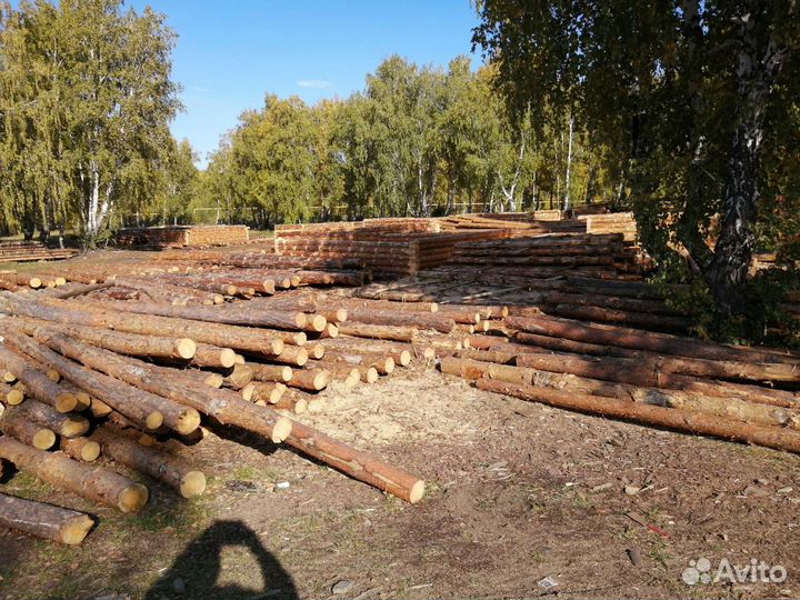 Сруб бани из сосны