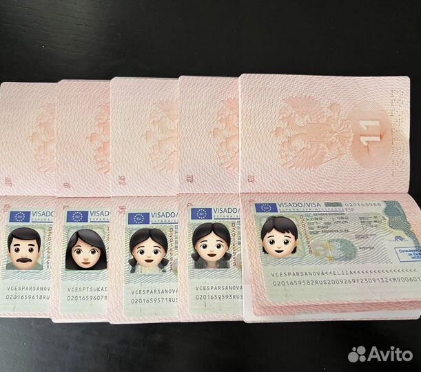 Шенгенская виза. Запись в визовый центр