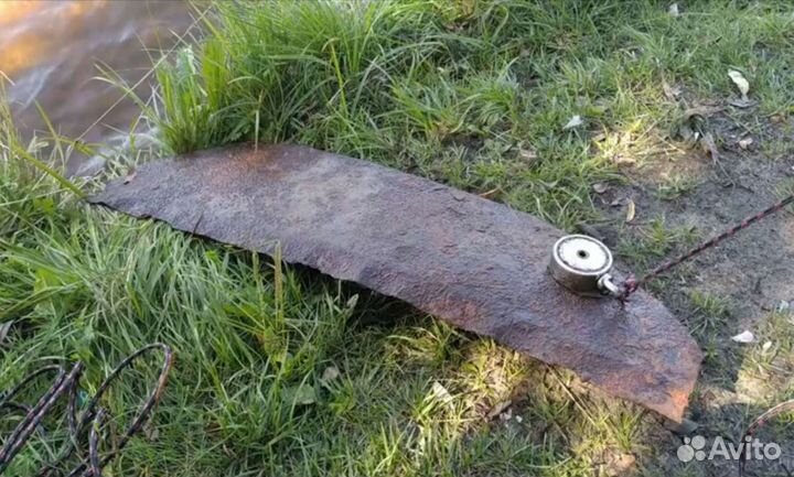 Поисковый магнит 250х2 в аренду