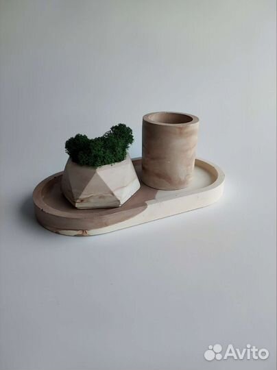 Кашпо с стабилизированным мхом и подносом