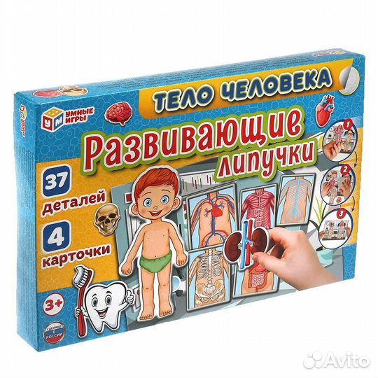 Настольная игра Тело человека 0538