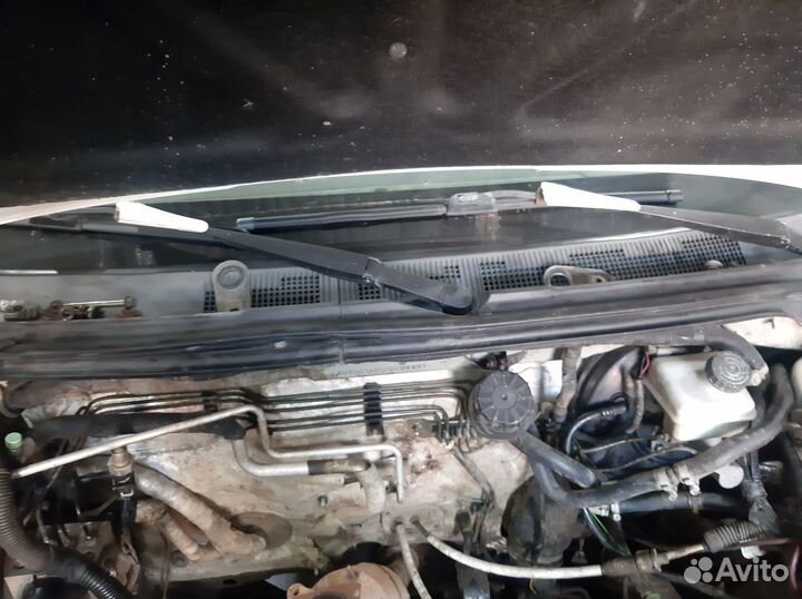 Жабо Чери Фора, Вортекс Эстина