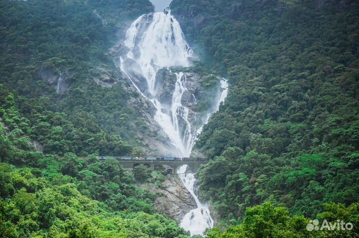 Гоа Топ-Экскурсия Отдых на Гоа: сёрфинг, рыбалка
